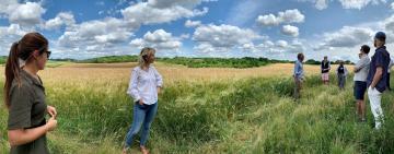 Bidwells launches landmark 173-acre Biodiversity Net Gain scheme 